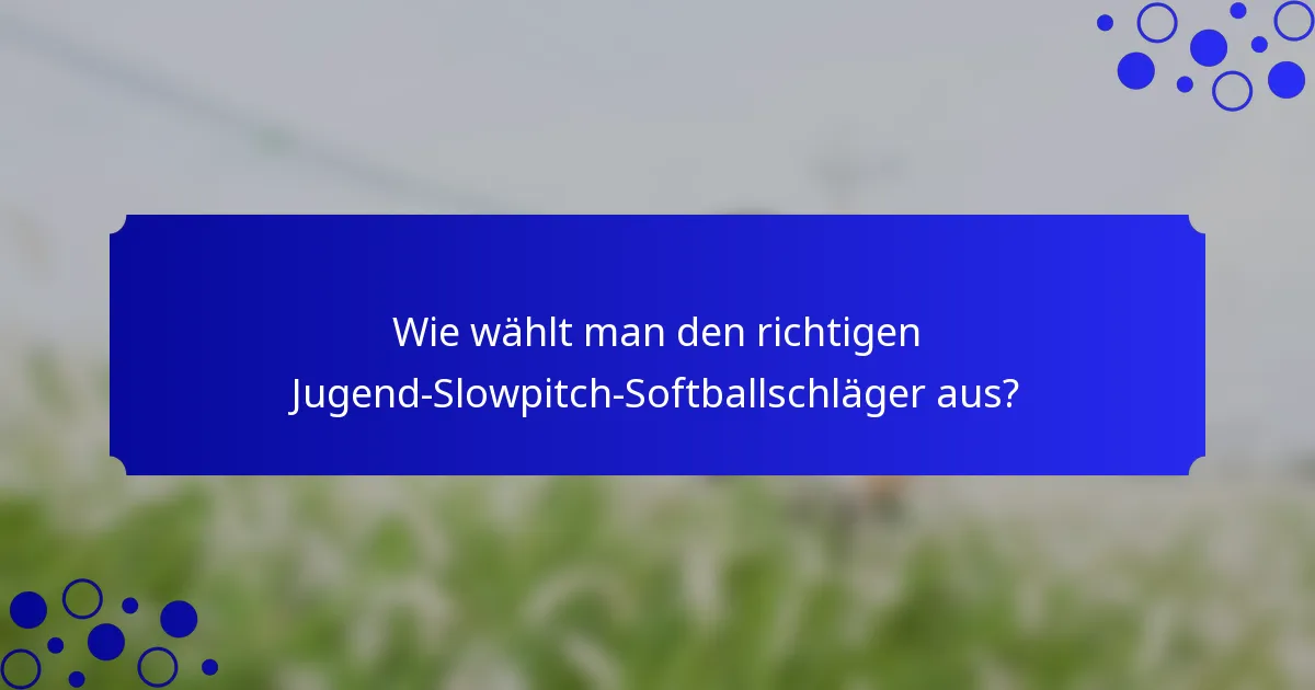 Wie wählt man den richtigen Jugend-Slowpitch-Softballschläger aus?